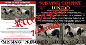 MISSING PRESUMED STOLEN EQUINE Loco Dinero, $1000.00 REWARD RECOVERED! 7/6/2018 Near Alvin, TX, 77511